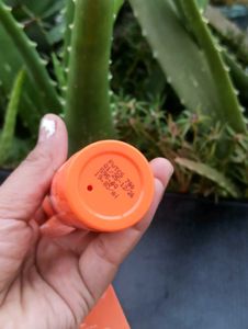 Foxtale Vitamin C Serum