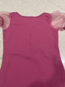 Pink Top with Mesh Sleeves