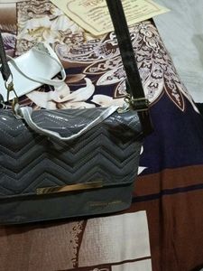 Charles &amp; Keith Bag