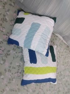 2 Small Cushions With Cover