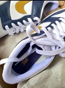 Nike Dunk Low (Authentic)