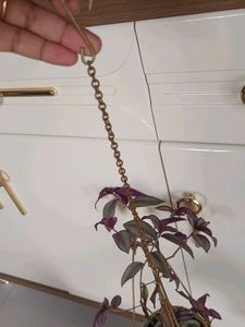 Hanging Planter With Live Plant