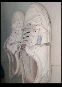 Ginger White Casual Shoes