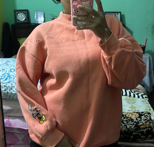 sweatshirt 🤩