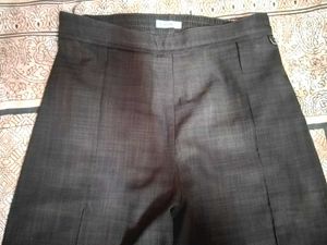 Brown  Trouser Pants