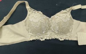 Offer Price Combo Sexy Imported Bra