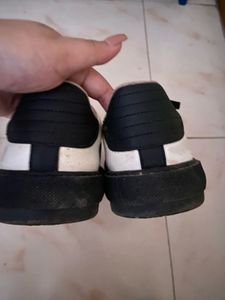 Zudio Canvas look shoes
