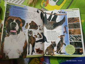 New Animal Encyclopedia
