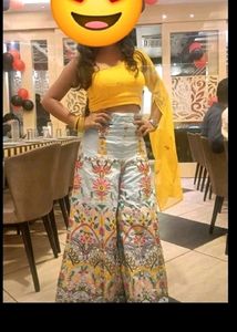 Fashionable Plazoo And Crop Top