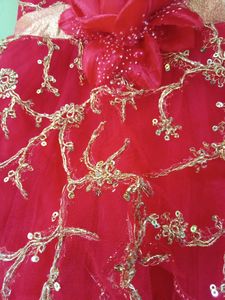 Red Net Frock