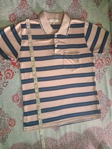 Striped Polo T-Shirt