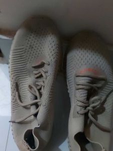 Sport Shoes