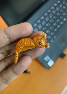 Sleeping Cat Laptop hipper