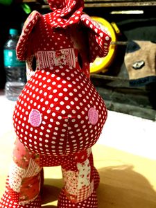 Cutest 🥰 Giraffe