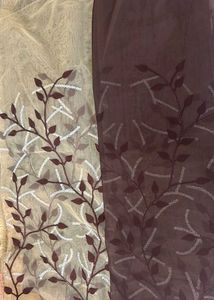 Saree With Designer Blouse