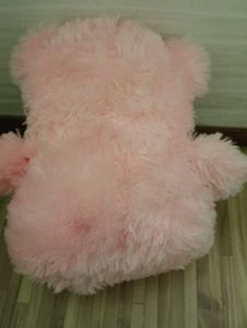 Pink Teddy Bear
