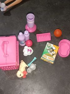Barbie Doll with Accessories
