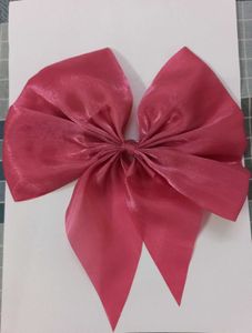 Large Hair Bow Clip
