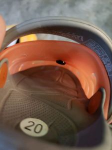 Unused Untouched Branded Crocks For 9to 12 Months