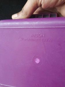 Used Milton Lunch Box
