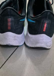 Nike Pegasus 37 Shoes