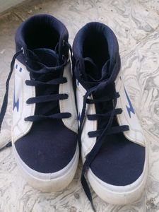 White &amp; Navy High-Top Sneakers