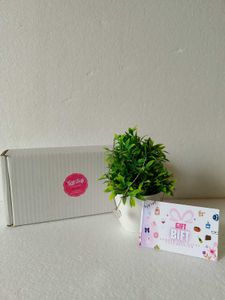 “Elegant Rakhi Gift Hamper for Sister &amp; Brother –