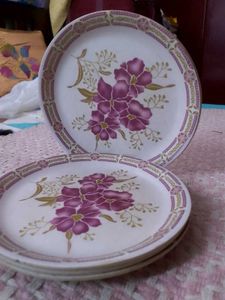 Dinnerware Plates (Set of 5)
