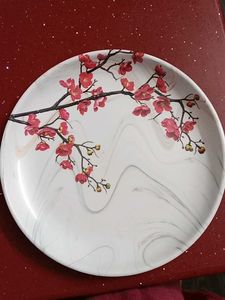 Used Plates