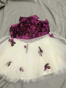 Cute Purple Butterfly Dress