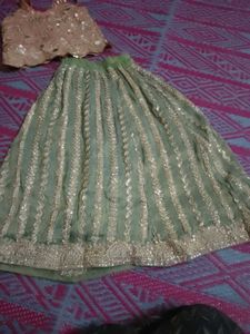 Green Embellished Lehenga Choli