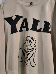 h&amp;m Yale Bulldog Sweatshirt