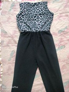 Animal Print Jumpsuit