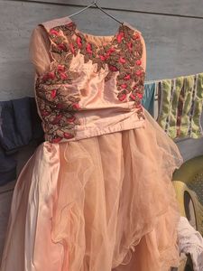 Peach Organza lehnga