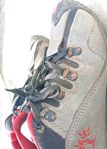Woodland Shoes Copy 👞(men)