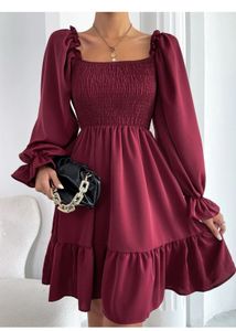 Fit And Flare Maroon Dress