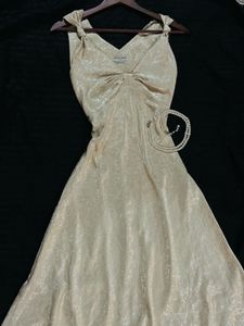 Vintage Champagne Dress🌙