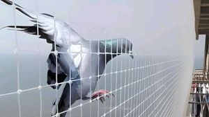 New Bird Balcony Protection Net