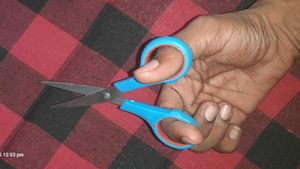 Craft Scissors - Blue Handle