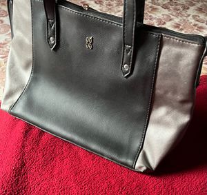 Baggit Handbag