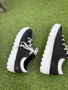 Skechers Shoes