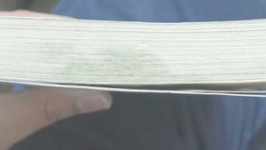 Ikigai: The Japanese Secret book