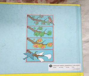 Children Picture Story Book