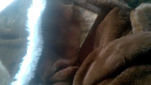 Faux Fur Brown Scarf