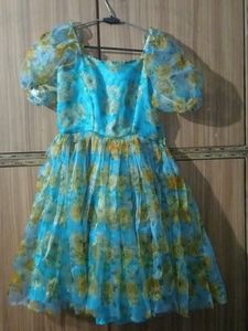 Organza Floral Dress