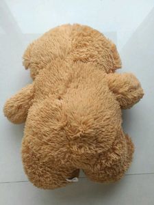 Cute Teddy Bear