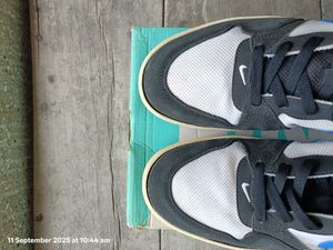 Nike SB Allyoop Original Pairs