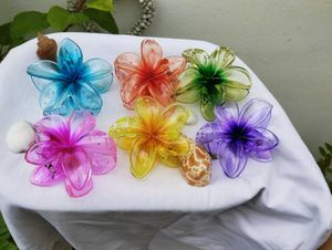 Colorful Flower Hair Clips