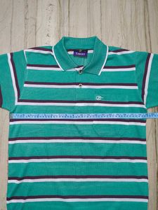 Striped Green Polo Shirt