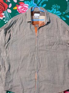 Crocodile 🐊 Shirt